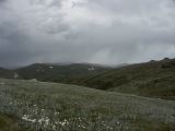 Kosciuszko national park